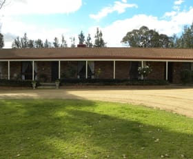 Rural / Farming commercial property sold at 4116 Murringo Road Young NSW 2594