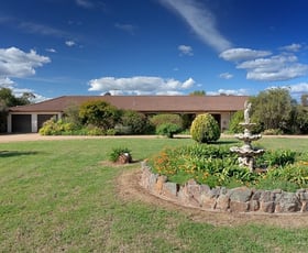 Rural / Farming commercial property sold at 224 Mitchell Road Table Top NSW 2640