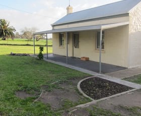 Rural / Farming commercial property sold at Lot 102 Light Pass Vine Vale SA 5352