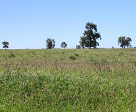Rural / Farming commercial property sold at Roma QLD 4455