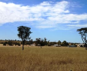 Rural / Farming commercial property sold at Roma QLD 4455 Rural / Farming commercial property sold at Roma QLD 4455