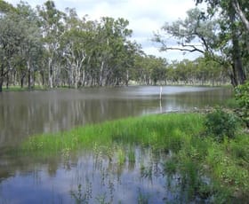 Rural / Farming commercial property sold at Injune QLD 4454 Rural / Farming commercial property sold at Injune QLD 4454