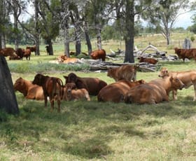 Rural / Farming commercial property sold at 1148 ACRES NORTH-WEST Bell QLD 4408