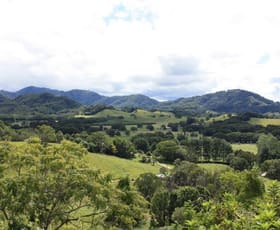 Rural / Farming commercial property sold at 136 Moffatts Road Billinudgel NSW 2483