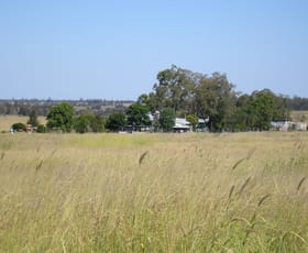 Rural / Farming commercial property sold at WILGA VIEW Jackson QLD 4426