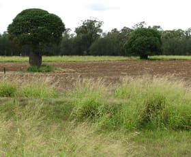Rural / Farming commercial property sold at 563 acres mixed farming Jandowae QLD 4410