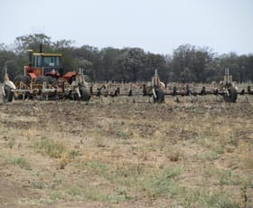 Rural / Farming commercial property sold at 6172 ACRES CROPPING, CATTLE, SHEEP Meandarra QLD 4422