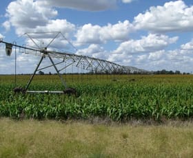 Rural / Farming commercial property sold at FREE WATER 313 ACRES Tara QLD 4421