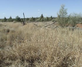 Rural / Farming commercial property sold at Mitchell QLD 4465