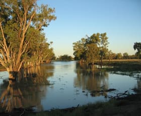 Rural / Farming commercial property sold at Roma QLD 4455