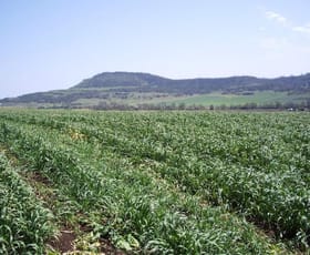 Rural / Farming commercial property sold at 360 Emu Creek Rd Warwick QLD 4370