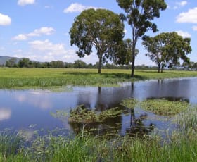 Rural / Farming commercial property sold at - PRINCHESTER SIDING Marlborough QLD 4705 Rural / Farming commercial property sold at - PRINCHESTER SIDING Marlborough QLD 4705