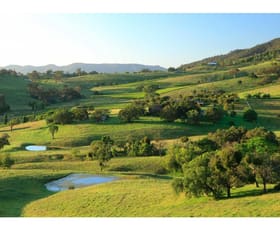 Rural / Farming commercial property sold at 632 Mount View Road Mount View NSW 2325