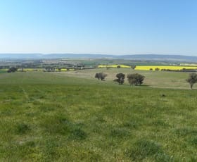 Rural / Farming commercial property sold at BackBlock Buchanans Road Wirrimah NSW 2803