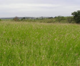 Rural / Farming commercial property sold at 0 Grantleigh Road Wowan QLD 4702 Rural / Farming commercial property sold at 0 Grantleigh Road Wowan QLD 4702