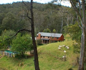Rural / Farming commercial property sold at 158 Ferndale Lane Wolumla NSW 2550