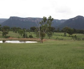 Rural / Farming commercial property sold at Lot 5 Wolgan Road Wolgan Valley NSW 2790