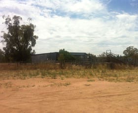 Rural / Farming commercial property sold at 790 Flora Reserve Rd Bearbong NSW 2827