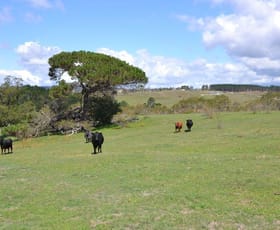 Rural / Farming commercial property sold at 79 Rydal Road Wallerawang NSW 2845
