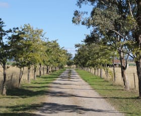 Rural / Farming commercial property sold at 78 Oxley Lane Westdale NSW 2340
