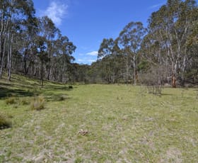 Rural / Farming commercial property sold at Lot 149 Willow Vale Lane Wallerawang NSW 2845