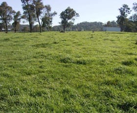 Rural / Farming commercial property sold at Walcha NSW 2354