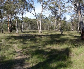 Rural / Farming commercial property sold at Pheasants Nest NSW 2574
