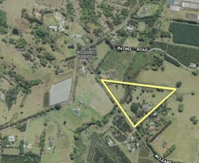 Rural / Farming commercial property sold at 174 McLeans Ridges Rd Mcleans Ridges NSW 2480