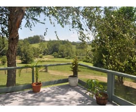 Rural / Farming commercial property sold at 1650 Bowraville Road Bellingen NSW 2454