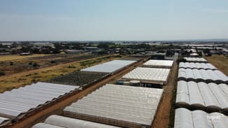 Development / Land commercial property for lease at Lot 101 Old Port Wakefield Road Virginia SA 5120 Development / Land commercial property for lease at Lot 101 Old Port Wakefield Road Virginia SA 5120