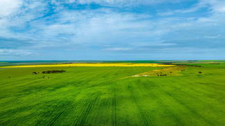 Rural / Farming commercial property sold at 1148 Wharminda Road Port Neill SA 5604