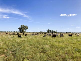 Other commercial property for sale at 2369 Eureka Plains Road Enngonia NSW 2840