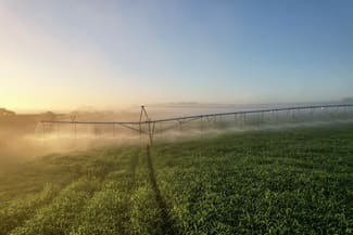 Rural / Farming commercial property sold at 190 Treloars Road Condah VIC 3303 Rural / Farming commercial property sold at 190 Treloars Road Condah VIC 3303