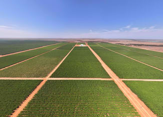Rural / Farming commercial property for sale at Talia Farms 1251 Stanitzki Road Pike River SA 5340