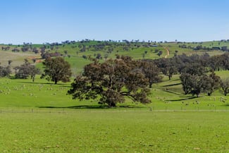 Rural / Farming commercial property for sale at 670 Leahy Road Wagga Wagga NSW 2650