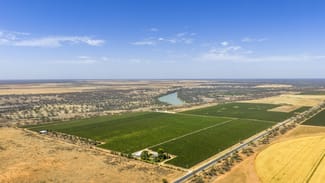 Rural / Farming commercial property for sale at 14921 & 14985 Sturt Highway Wigley Flat SA 5330 Rural / Farming commercial property for sale at 14921 & 14985 Sturt Highway Wigley Flat SA 5330