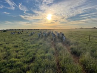 Rural / Farming commercial property for sale at 44 Begonia Road Ballaroo QLD 4455