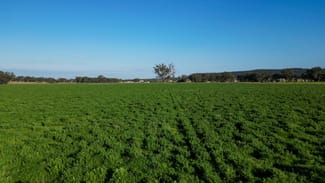 Rural / Farming commercial property sold at 1799 Digilah Road Dunedoo NSW 2844