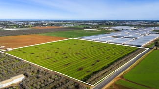 Rural / Farming commercial property for sale at 306 Taylors Road Virginia SA 5120
