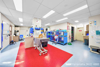 Medical / Consulting commercial property for sale at North Parramatta NSW 2151