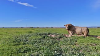 Rural / Farming commercial property for sale at 754 Beermullah Road West Beermullah WA 6503