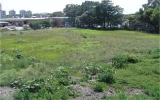 Development / Land commercial property leased at 106-116 Epsom Road Rosebery NSW 2018 Development / Land commercial property leased at 106-116 Epsom Road Rosebery NSW 2018