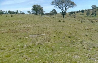 Rural / Farming commercial property sold at 2/219 Perks Road Rye Park NSW 2586