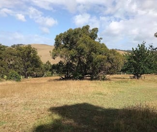 Rural / Farming commercial property sold at Lot 51c/140 Bolgers Road. Devon North VIC 3971 Rural / Farming commercial property sold at Lot 51c/140 Bolgers Road. Devon North VIC 3971