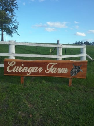 Rural / Farming commercial property sold at 771 Ewingar Rd Ewingar 2469 Ewingar NSW 2469 Rural / Farming commercial property sold at 771 Ewingar Rd Ewingar 2469 Ewingar NSW 2469