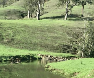 Rural / Farming commercial property sold at 200 Coxs Creek Road, Wallaringa via Dungog NSW 2420