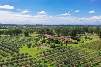 Rural / Farming commercial property sold at 259 De Beyers Road Pokolbin NSW 2320 Rural / Farming commercial property sold at 259 De Beyers Road Pokolbin NSW 2320