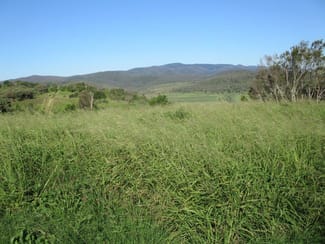 Rural / Farming commercial property sold at "BRAESIDE" 509 ACRES Bell QLD 4408