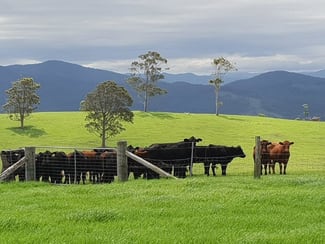 Rural / Farming commercial property sold at 1420 Ebsworth Road Glen Martin NSW 2321 Rural / Farming commercial property sold at 1420 Ebsworth Road Glen Martin NSW 2321