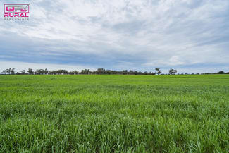 Rural / Farming commercial property sold at 2/272 Glynburn Road Temora NSW 2666 Rural / Farming commercial property sold at 2/272 Glynburn Road Temora NSW 2666